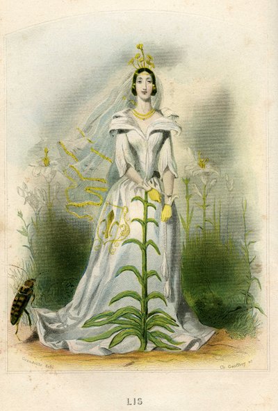Illustration für 