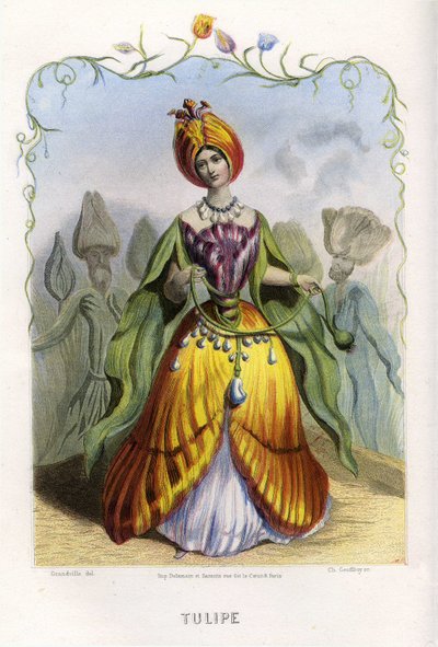 Illustration für 