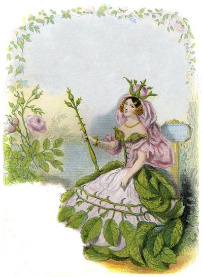 Illustration für 