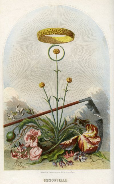 Illustration für 