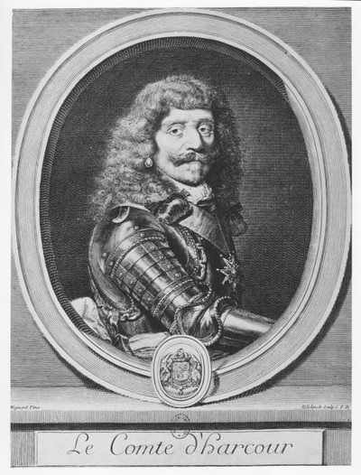 Henri de Lorraine, Comte d