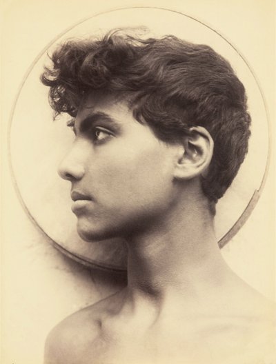 Unbekanntes Bild von Guglielmo Plüschow