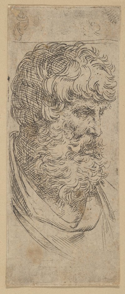 Büste eines bärtigen Mannes, ca. 1600-1640 von Guido Reni