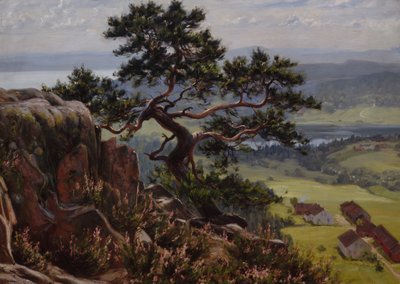 Blick über Vardåsen von Gustav Wentzel