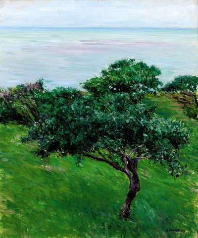 Apfelbäume am Meer, Trouville, 1880 von Gustave Caillebotte