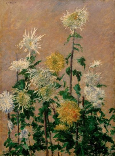 Weiße und gelbe Chrysanthemen von Gustave Caillebotte
