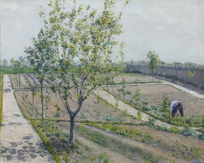 Der Gemüsegarten, Petit Gennevilliers von Gustave Caillebotte