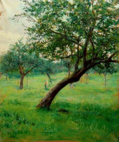 Verger von Gustave Caillebotte
