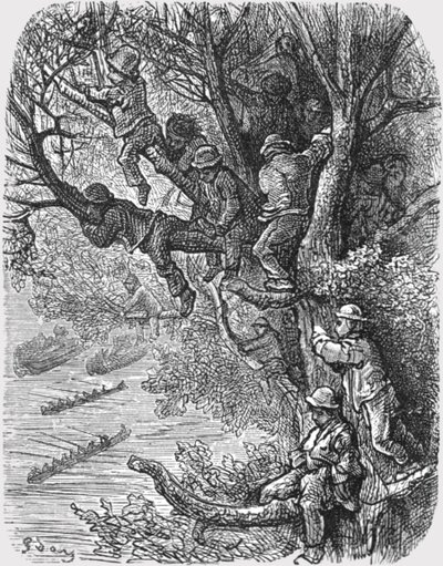 Auf den Bäumen sitzend, 1872 von Gustave Dore