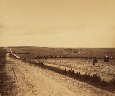 [Manöver, Camp de Chalons] von Gustave Le Gray
