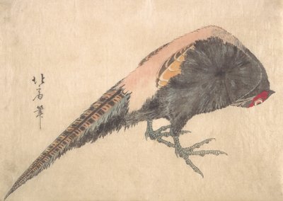 Vogel von Hakusanjin Hokui