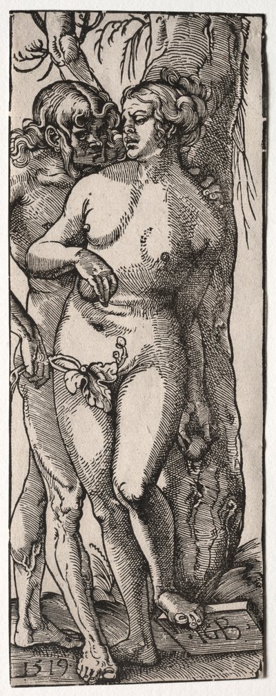 Adam und Eva von Hans Baldung
