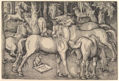 Gruppe von sieben Pferden, 1534 von Hans Baldung