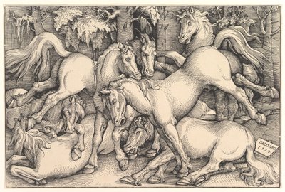 Gruppe von sieben Pferden, 1534 von Hans Baldung