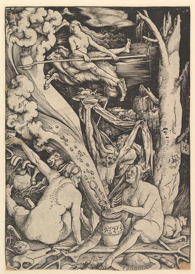 Die Hexen von Hans Baldung