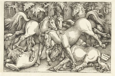 Gruppe von sieben kämpfenden Pferden von Hans Baldung Grien