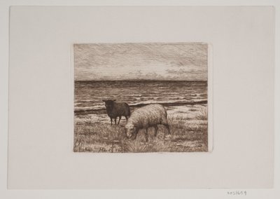 Schafe am Strand von Hans Christian Gether Caspersen