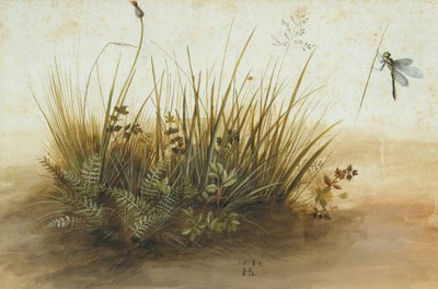 Ein kleines Stück Rasen von Hans Hoffmann