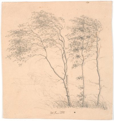 Drei Bäume von Hans Smidth