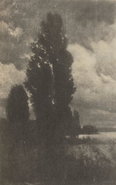 Camera Work: Pappeln und Wolken von Hans Watzek