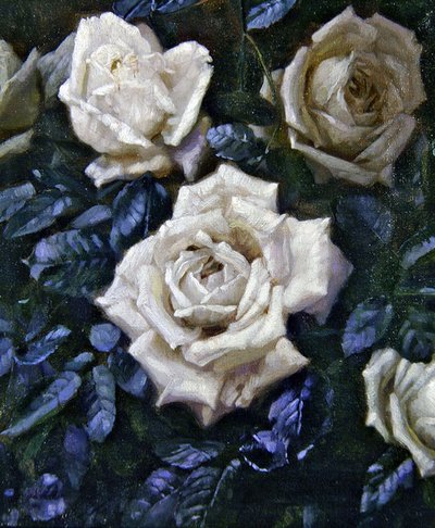 Weiße Rosen von Harold Oakley