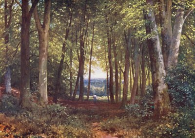 Deer-Leap-Wald, Wotton von Harold Sutton Palmer