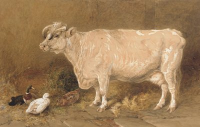 Kuh mit Enten in einer Scheune von Harrison William Weir
