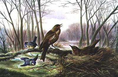 Der Herold des Frühlings von Harry Bright