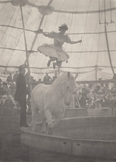 Der Zirkus von Harry C. Rubincam