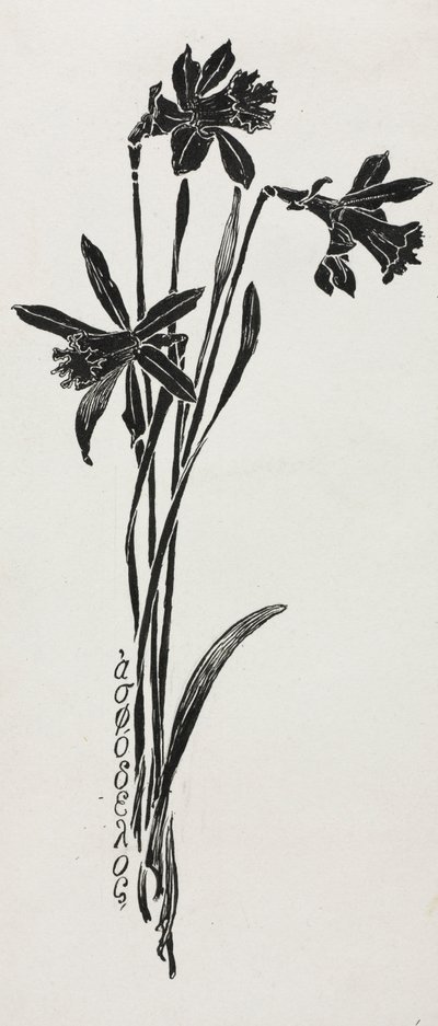 Narzissen von Harry Fenn