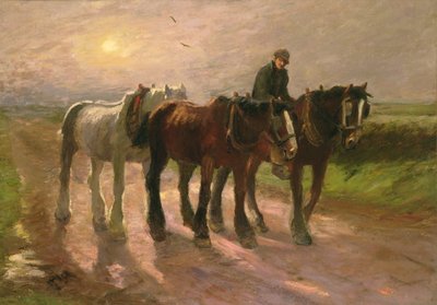 Heimwärts von Harry Fidler