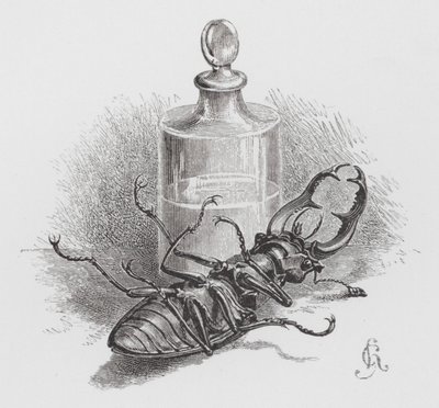 Das Insekt: Toter Käfer von Hector Giacomelli