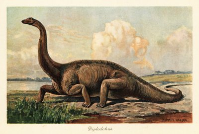Ausgestorbener Diplodocus longus auf den Ebenen von Heinrich Harder