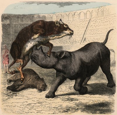 Antikes Rom: Tierkämpfe im Amphitheater von Heinrich Leutemann