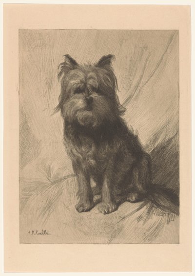 Holländischer Smoushund von Heinrich M. Krabbé