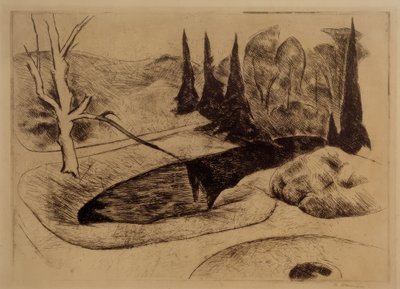 Park in Dilborn, 1914 von Heinrich Nauen