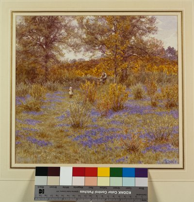 Bluebell-Hain, 1889 von Helen Allingham