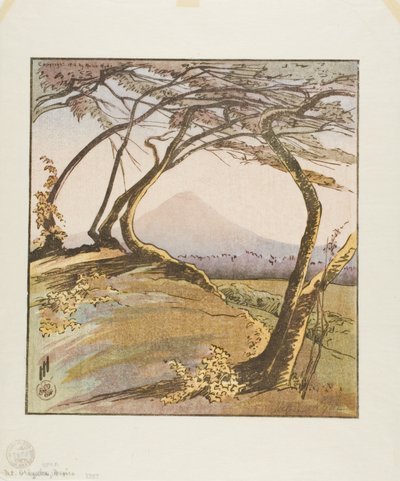 Berg Orizaba von Helen Hyde