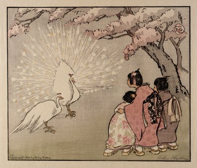 Der Weiße Pfau von Helen Hyde