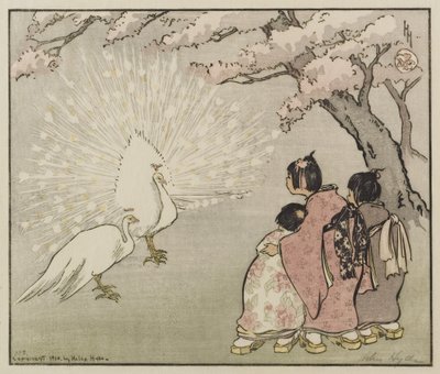 Weißer Pfau, 1914 von Helen Hyde
