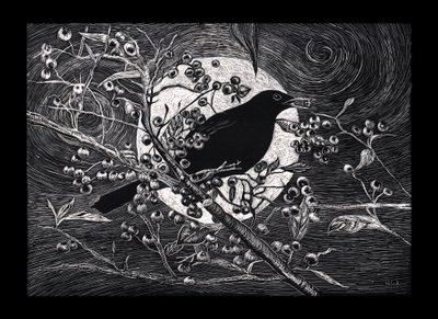 Amsel, 2023 von Helen White