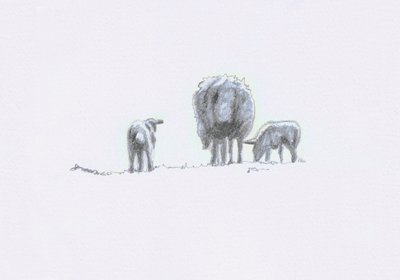 Sanfte Geister V, 2022 von Helen White