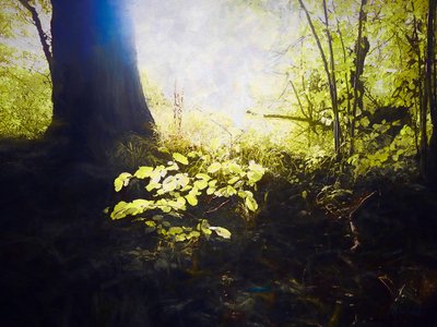 Geweihter Ort von Helen White