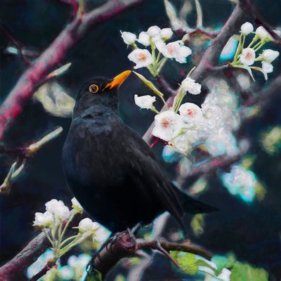 Herr des Sommerliedes, 2019 von Helen White