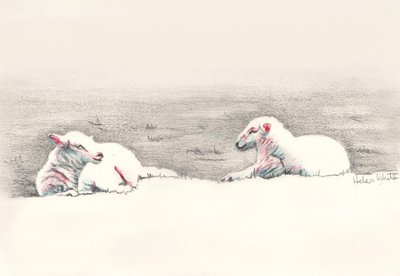 Nickerchen, 2016 von Helen White