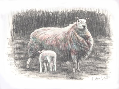 Stolz, 2016 von Helen White