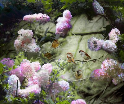 Frühlingssperlinge von Helen White