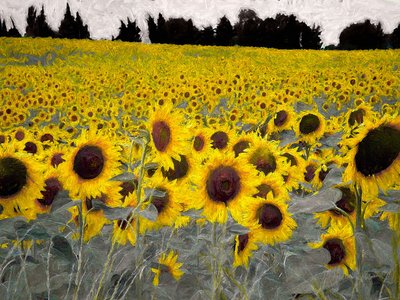 Sonniger Hügel, 2019 von Helen White