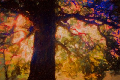 Unter der weit ausladenden Eiche von Helen White