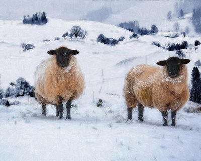 Wintermäntel, 2019 von Helen White